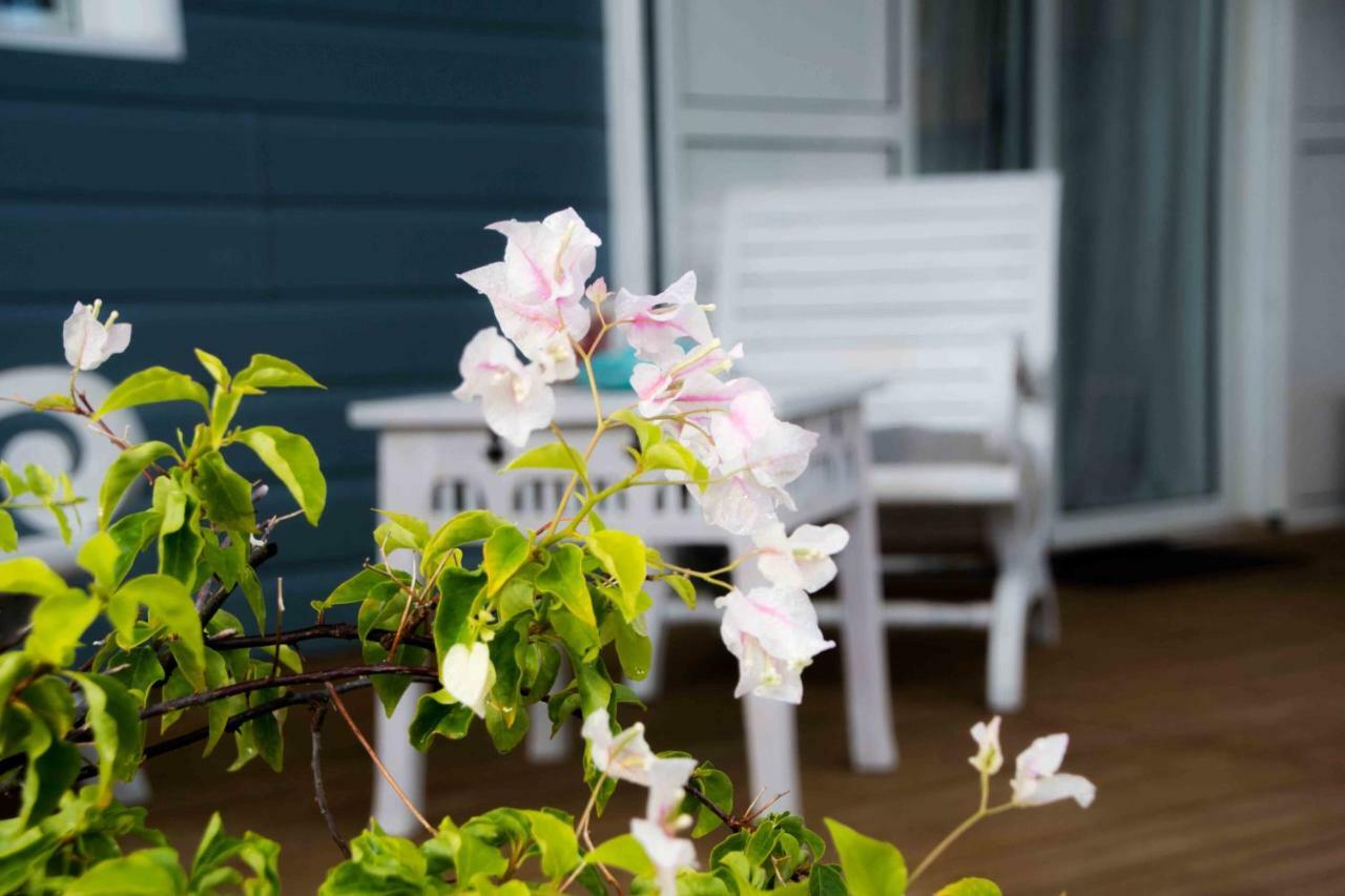Chez Les Filles - Bungalodge Petite Île Eksteriør billede